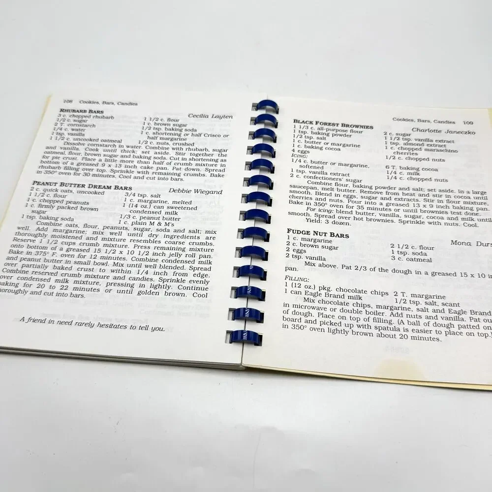 Germantown Hills Illinois St Mary of Lourdes Church Cookbook Recipes Vintage 90s